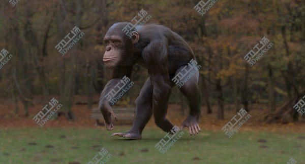 images/goods_img/20210312/Chimpanzee 3D/1.jpg